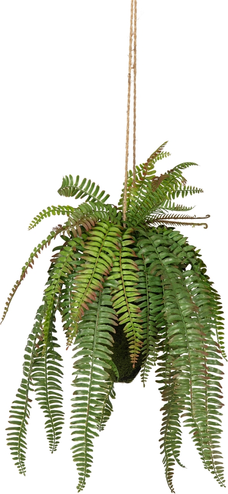 Fern Kunstig Plante Grøn H58x30x30 Cm  8714713097357