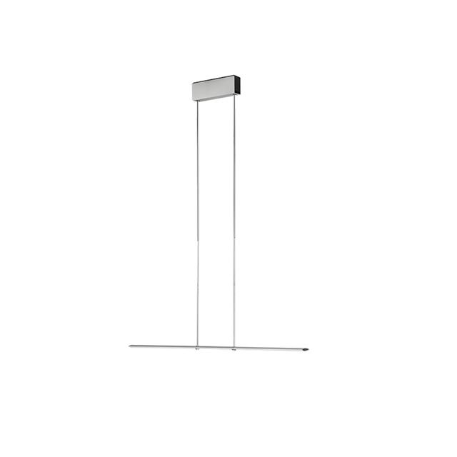 Baltensweiler Let D 100 Pendel